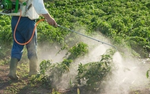 L'épandage des pesticides empoisonne aussi celui qui les répand sur les cultures.  JPEG - 72.2 ko
