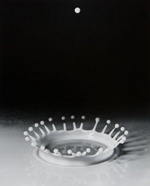 Harold Edgerton est pionnier dans la photographie de la chute d'une goutte, visualisant la forme en couronne de l'impact de cette goutte de lait.  JPEG - 10 ko