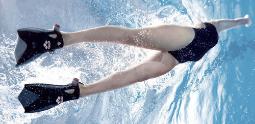 La bionique s'est inspirées des palmes de mammifères nageurs pour concevoir des palmes adaptées aux pieds humains.  JPEG - 55.7 ko