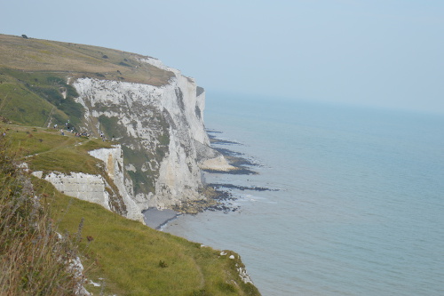 Les falaises calcaires blanches sont constituées de milliards de squelettes de coccolithophores qui se sont sédimentés il y a 140 millions d'années quand des mers recouvraient le Sud de l'Angleterre.  JPEG - 55.1 ko