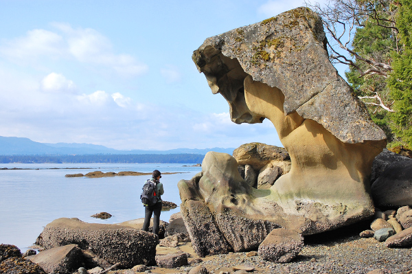 Sculpture naturelle sur un rocher, usé par les intempéries, au bord de l'eau, dans l'île de Gabriola, au Canada.  JPEG - 199.9 ko