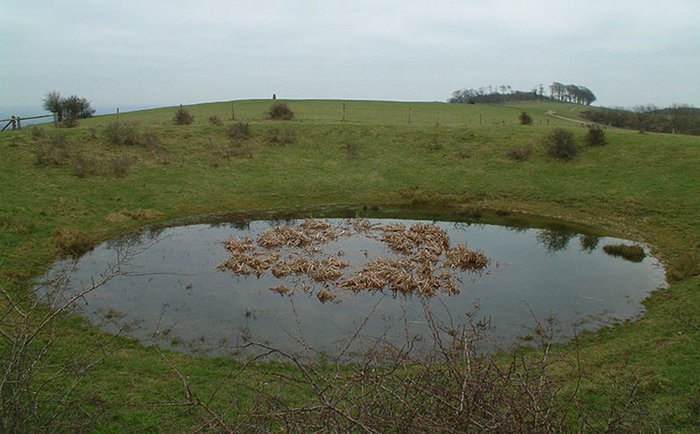 L'étang à rosée (Dew pond) est creusé en forme de coupe et recueille l'eau de la rosée .  JPEG - 85.6 ko